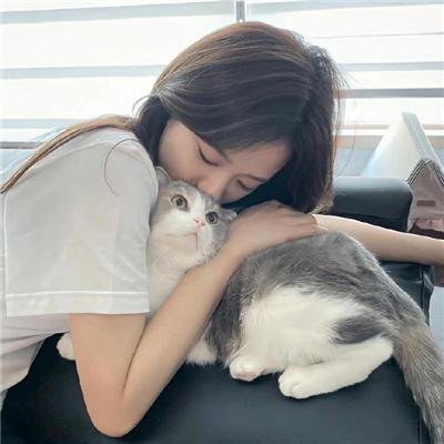 你的太阳